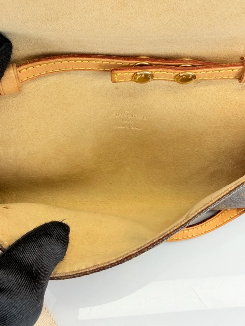 Louis Vuitton Twin PM Monogram Crossbody